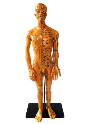 Ancient Chinese Acupuncture Statue - Plastic - Man 2