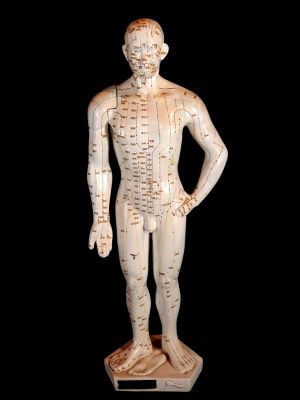 Ancient Chinese Acupuncture Statue - Plastic - Male 1