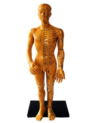 Ancient Chinese Acupuncture Statue - Plastic - Male 4