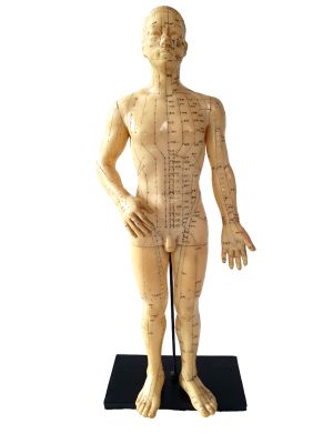 Ancient Chinese Acupuncture Statue - Plastic - Man 1