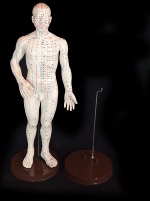 Ancient Chinese Acupuncture Statue - Plastic - Plastic stand for acupuncture statue