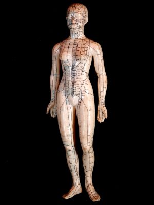 Ancient Chinese Acupuncture Statue - Plastic - Woman 1