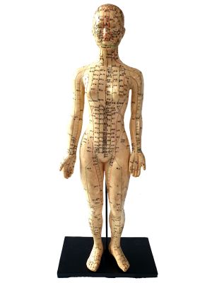 Ancient Chinese Acupuncture Statue - Plastic - Woman 2