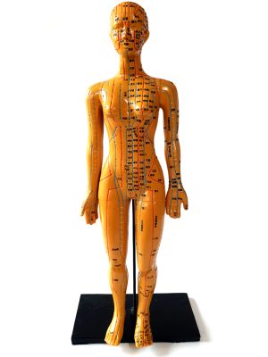 Ancient Chinese Acupuncture Statue - Plastic - Woman 3