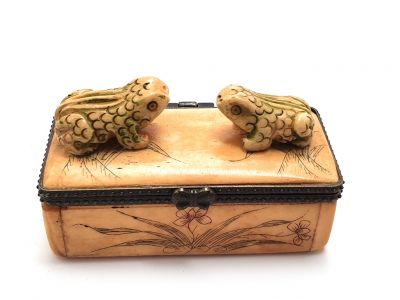 Bone box Frogs