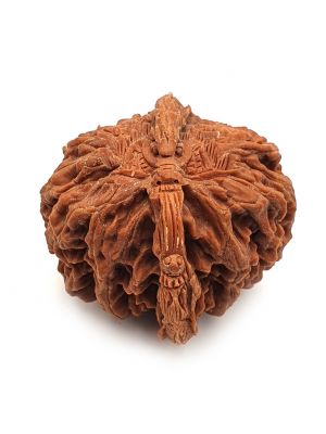 Chinese Carved Walnut - The Dragon