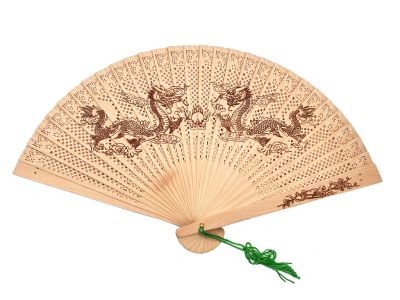 Chinese Hand fan Dragons