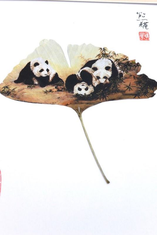Chinese painting on tree leaf - 3 Pandas 2