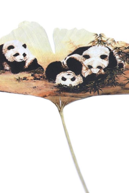 Chinese painting on tree leaf - 3 Pandas 3