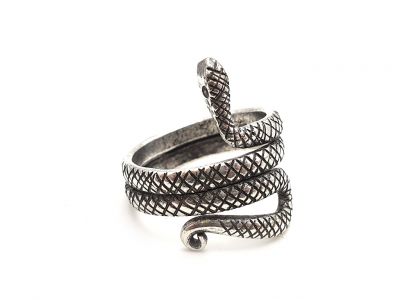 Chinese Ring from the Miao Minority Snake