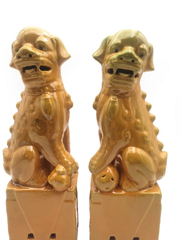 Fu Dog pair in porcelain Yellow 2