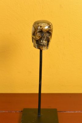 Indonesian Bone Statue Skull