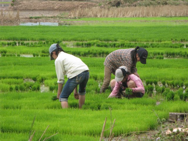 minorité laos