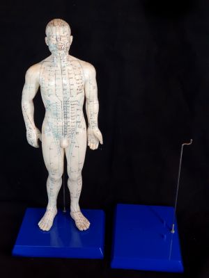 Plastic stand for acupuncture statue